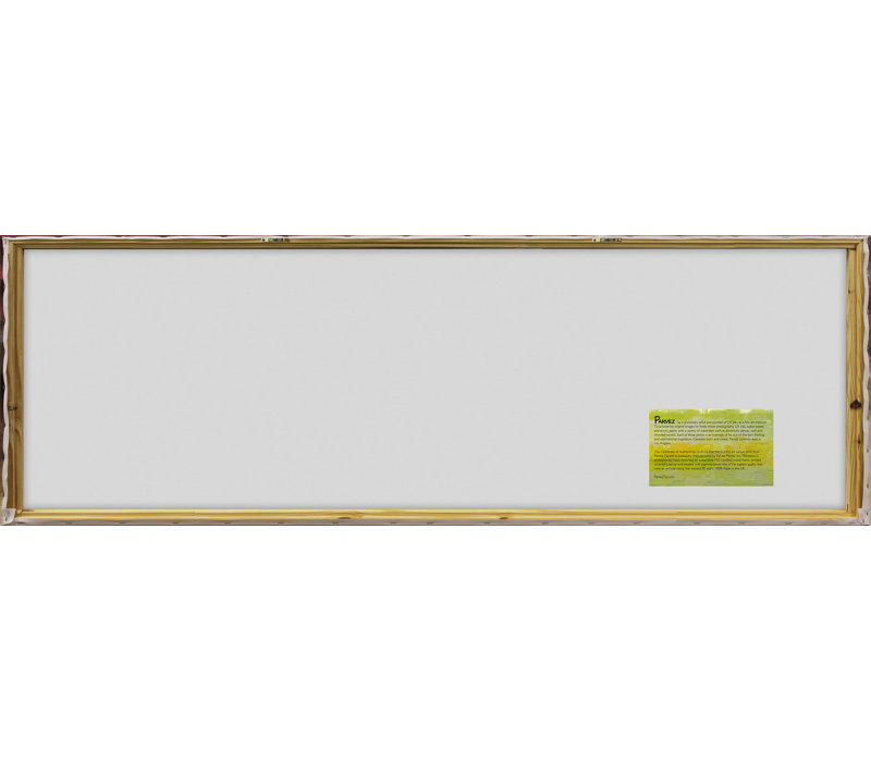 Parvez Taj - Wrapped Canvas Print, 38cm H x 114cm W x 5cm D
