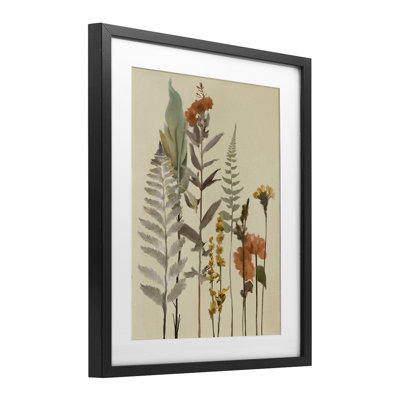 Fall Botanicals and Ferns Framed Print Under Glass, design by Elizabeth Medley