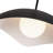 Kirby 22-in Black Pendant