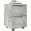 30.5cm W Manufactured Wood Bedside Table-1074951984