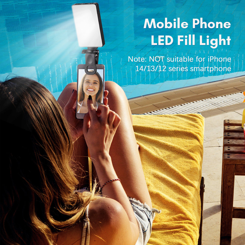 Plug-in Table Picture Light