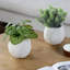 Pot Planter