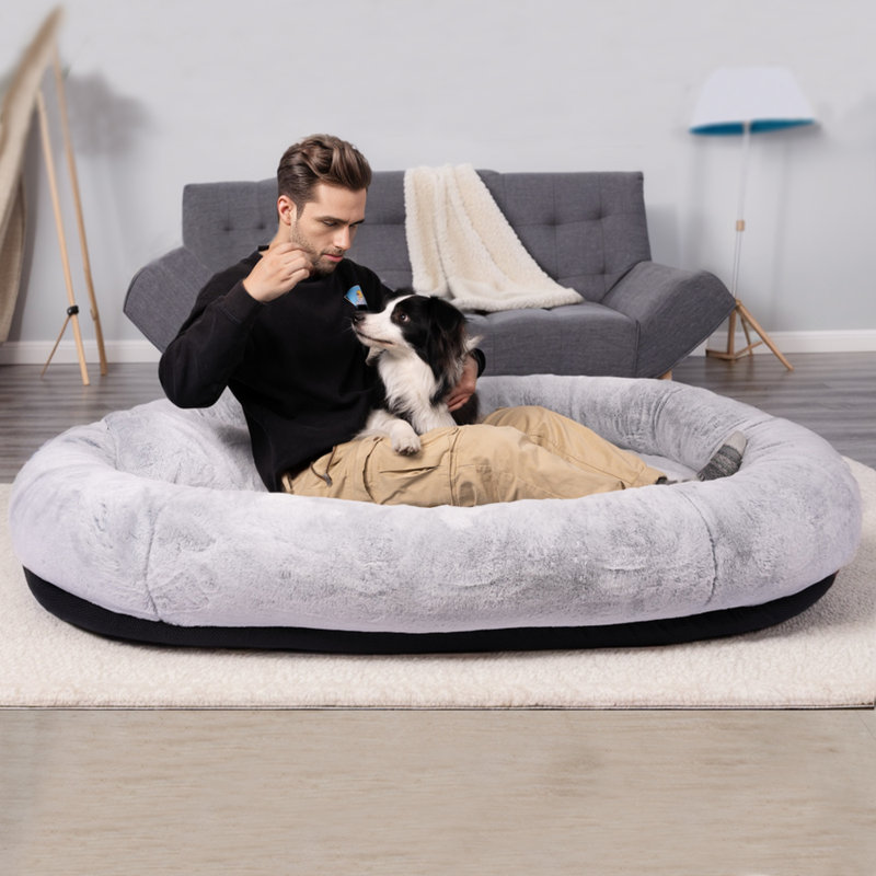Wayfair Dog Bed Washable Wayfair Cat Beds Bedsure Cute Dog Bed For