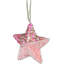 24.2cm PVC No Holiday Shaped Ornament