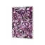 Asha Framed Canvas-219175604