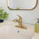 CASAINC Single-Handle Pull-Out Bathroom Faucet Single Hole Faucet with Deck Plate