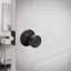 Bouton de porte d'entrée Tulip-80394043-7224867
