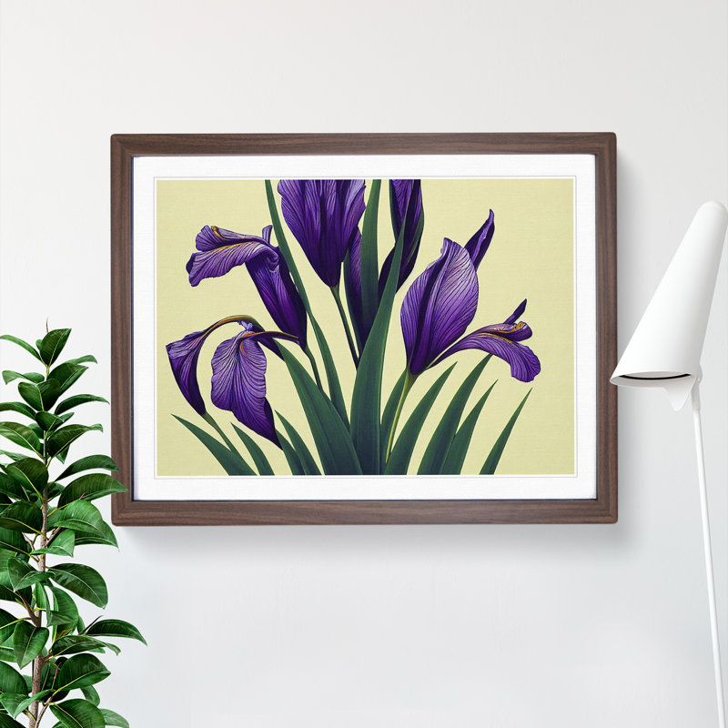 Spellbinding Iris Flowers - Framed Print, 25cm H x 34cm W, Walnut Frame