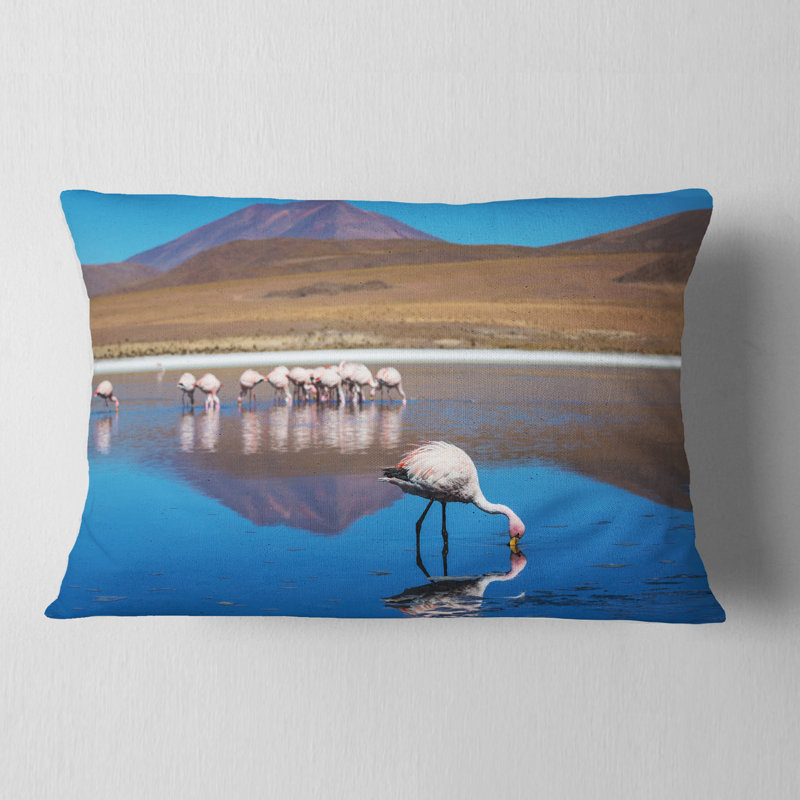 Coussin lombaire de bolivie à épaulement africain