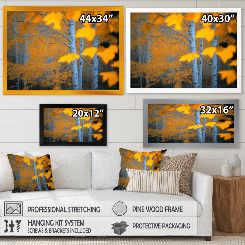 Gros plan sur des bouleaux à feuilles jaunes dans la forêt III - reproduction sur toile, 12" H x 20" W x 1" D