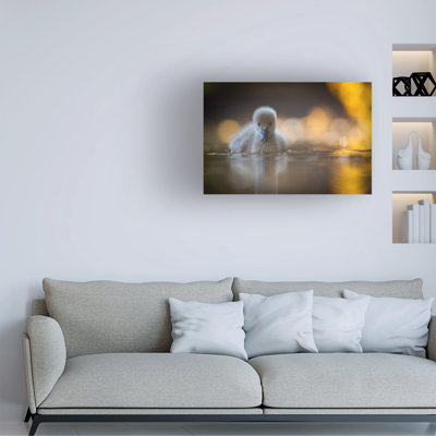 Robert Adamec  Black Swan Canvas Art