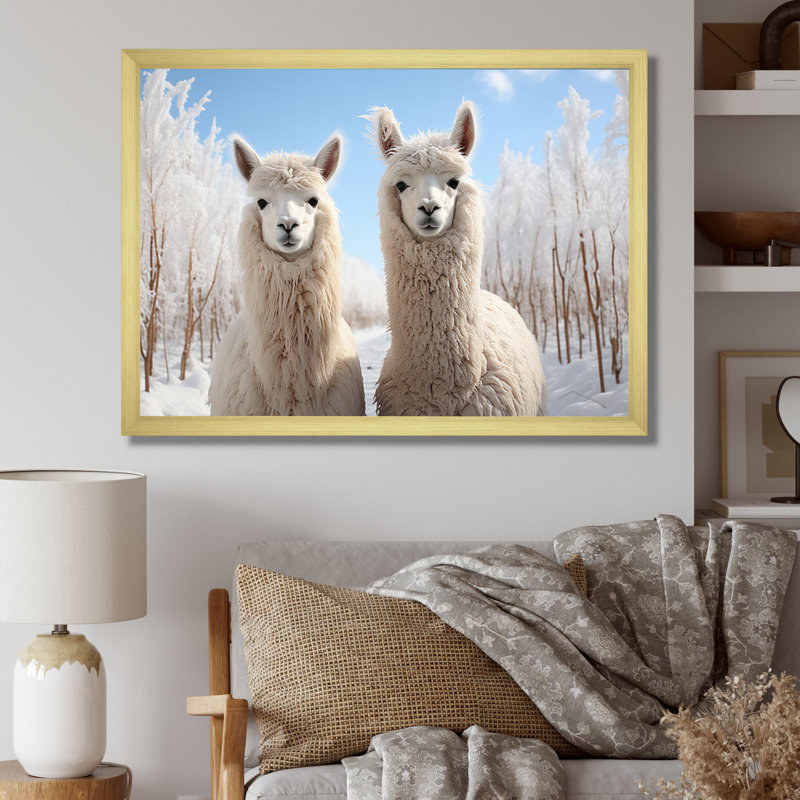 Alpagas Graceful Alpacas III - impression, H 30 po x l 40 po x P 1,5 po, Encadrement doré