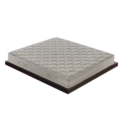 Stefield Symple Stuff Foam Mattress