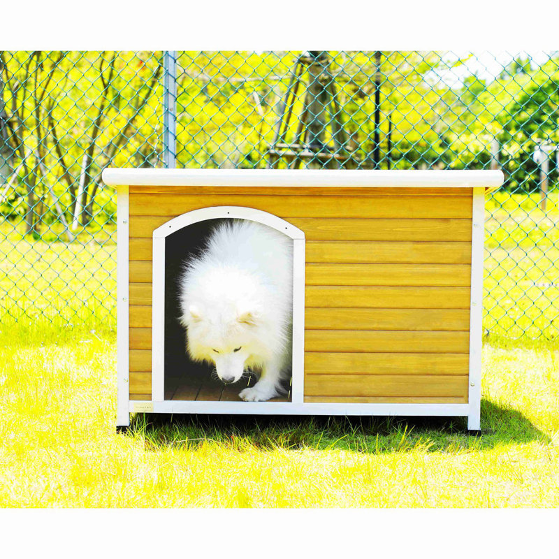 Niche pour chien Demastus, Jaune