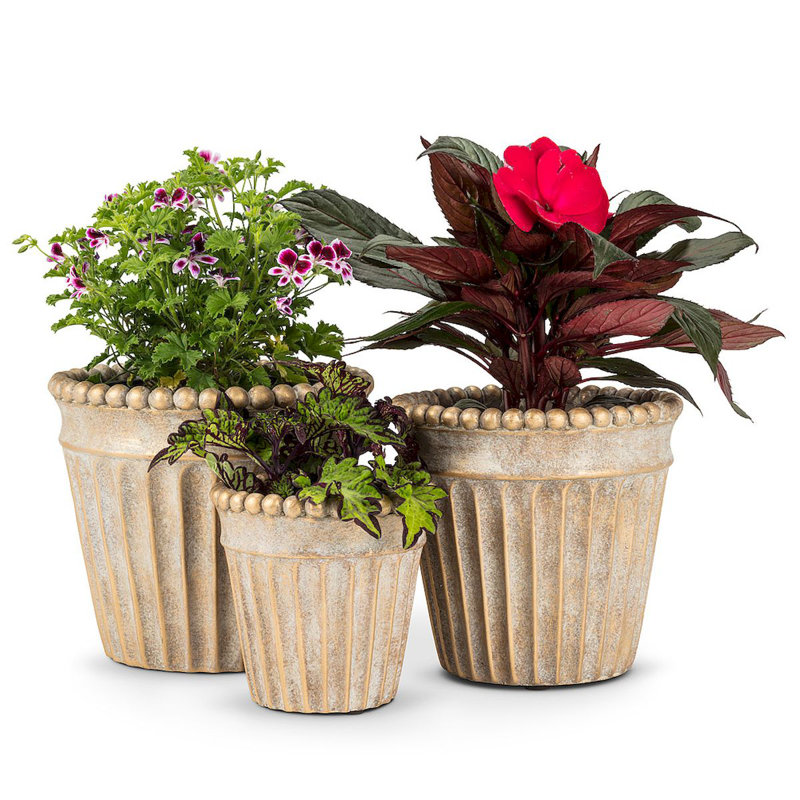 Pot à fleurs en ciment, H 6,5 po x l 6,5 po x P 6,5 po