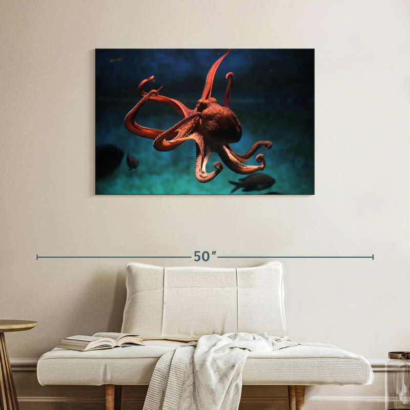 Brampt Octopus Vulgaris, 26" H x 39" W