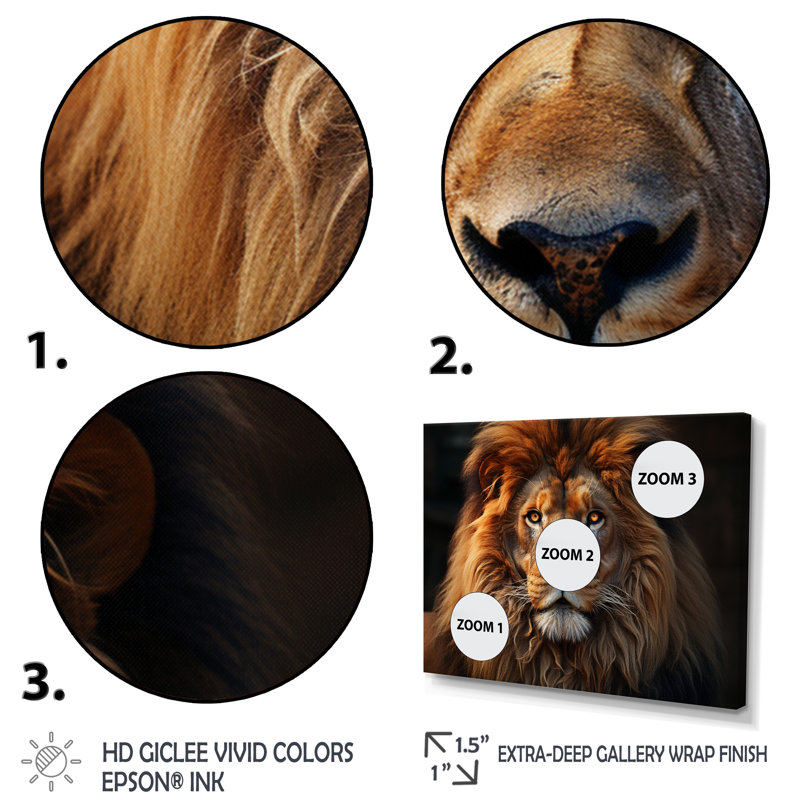 «Lion Portrait - Lion», reproduction sur toile encadrée, H 16 po x l 32 po x P 1 po, Cadre flottant blanc