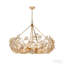 12-Light Dimmable Flower Crystal Chandelier