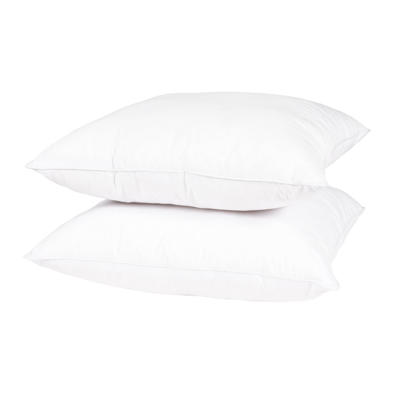 Wayfair Basics® Didomenico Euro Square Pillow Insert, 20" x 20"
