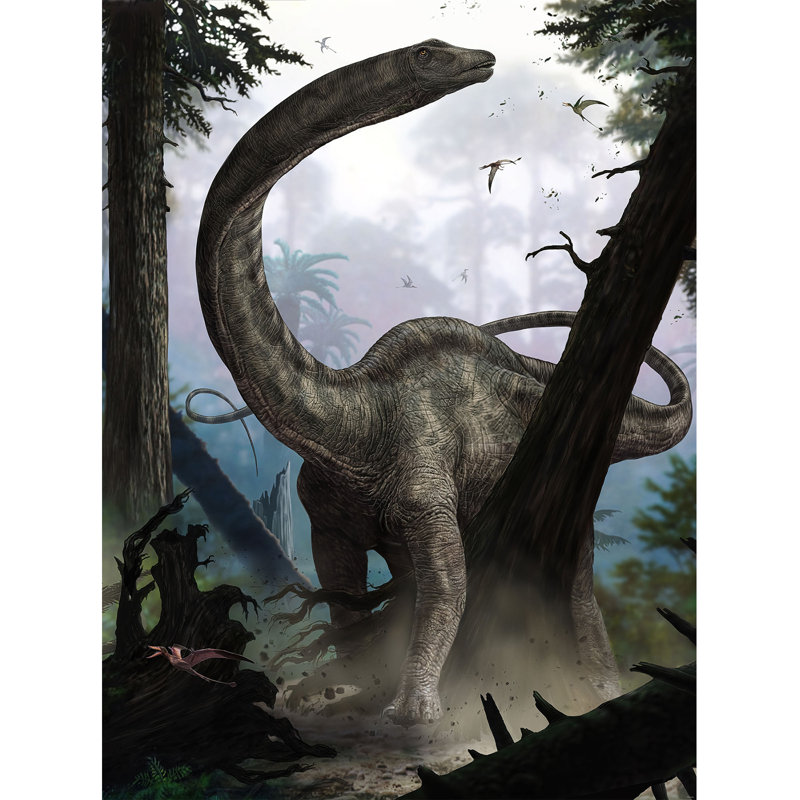Panneau mural lisse 2 panneaux Aubreella Rebbachisaurus L 8,1 pi x l 72 po