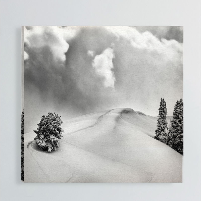 Photographie de poudre fraîche, H 16 po x l 16 po x P 1,5 po, Toile tendue