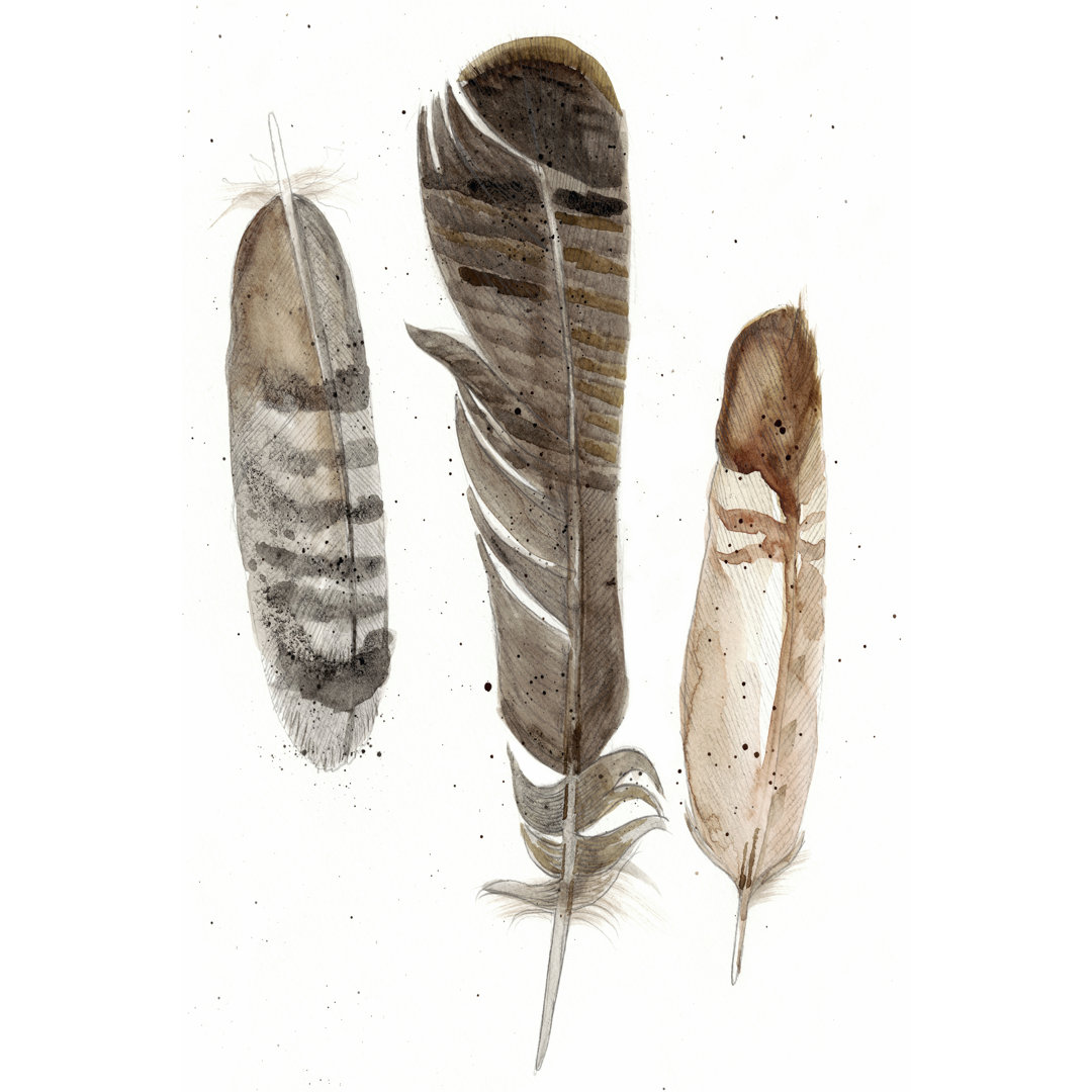 Leinwandbild Earthtone Feathers I von Alicia Ludwig