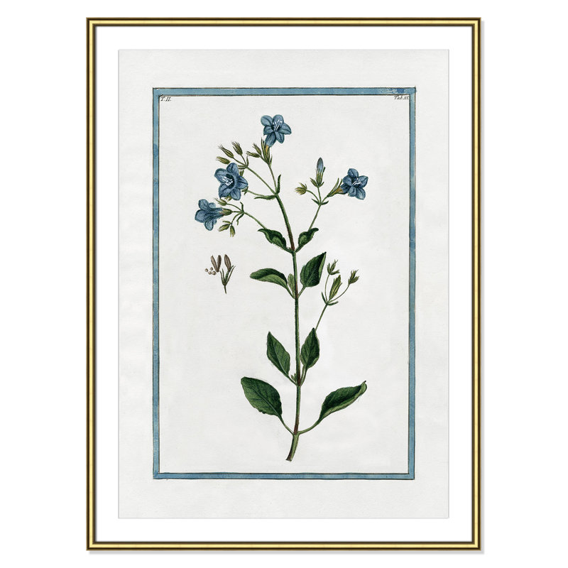 Shabby Elegance Botanical II by Kelly Donovan, 30.75" W x 42.75" H, Gold Framed