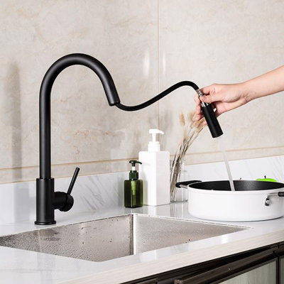 Artos Trova Pull Down Kitchen Faucet