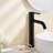 Vessel Sink Faucet Single Handle Bathroom Faucet-89022310