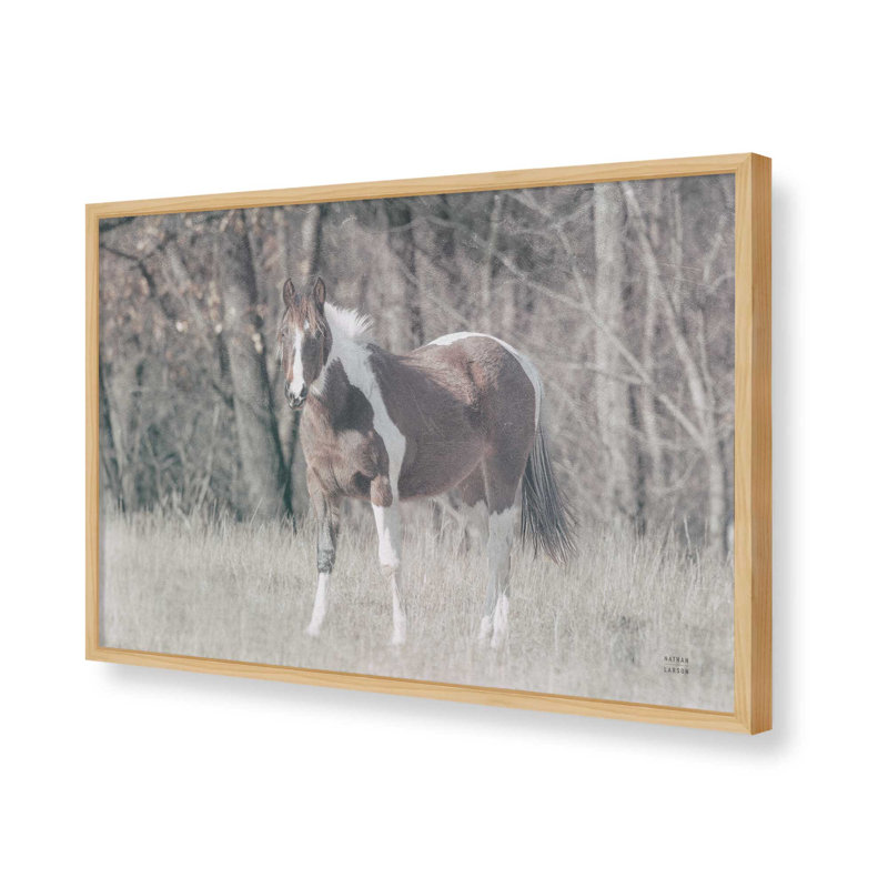 «Sunny Field III» par Nathan Larson, reproduction d'art, Tanné, H 12 po x l 18 po
