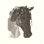 «Horse Portrait I» par Chris Paschke - reproduction