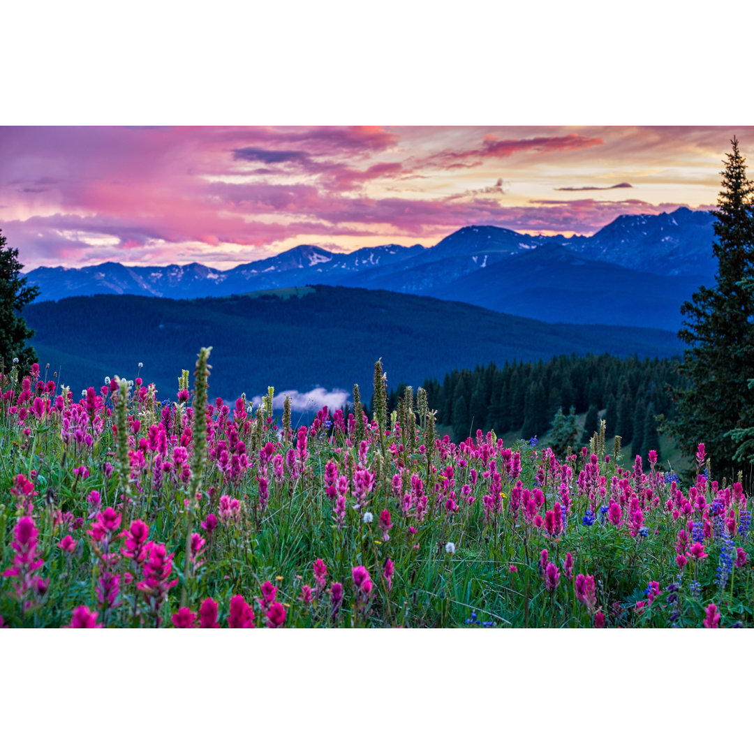 Wildblumen in der Gore Range von Adventure_Photo - Ohne Rahmen auf Leinwand drucken