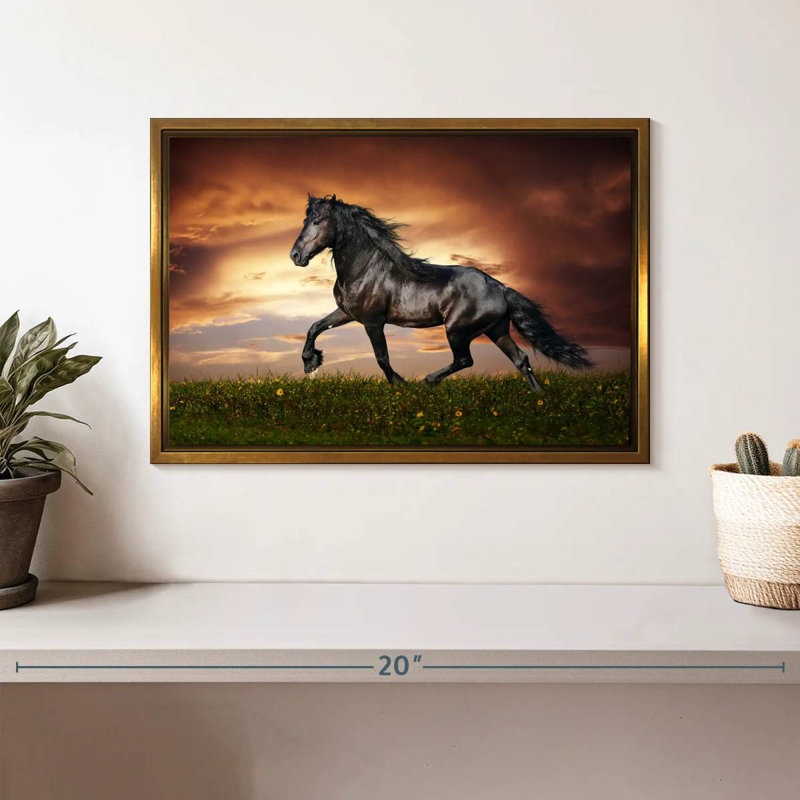 Cheval baroque, Cadre flottant doré, 13 po x 9 po