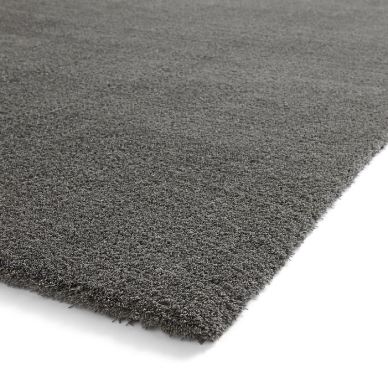 Asaldis area rug Machine Woven Rectangle Charcoal, Rectangle 120 x 170cm
