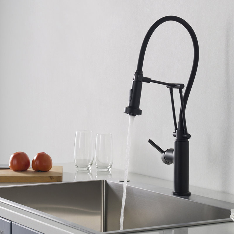 Robinet de cuisine rétractable noir mat Blossom - Corps en laiton massif avec douchette à double fonction, Noir mat