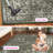 Timothe Performance Oriental Rug-942271266