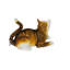 Statue bronze Eile Squat Cat - Taille: L 12 po x l 6 po x H 9 po.