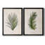 Palm Botanical I - ensemble de 2 impressions-1280204975-1211584034-1280204971