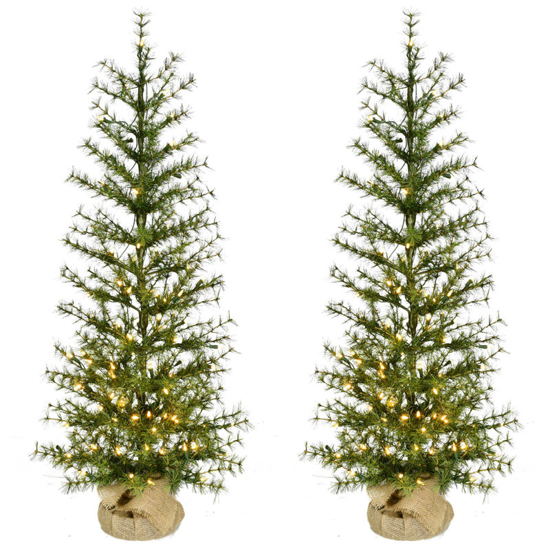 48' Lighted Fir Christmas Tree