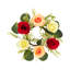 Arrangement de panier suspendu en sapin-97799853