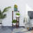 Jahquel Weather Resistant Plant Stand-317066134