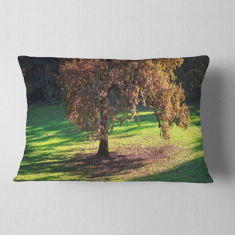 Coussin Lonely Beautiful Autumn Tree, Rectangulaire, 12 po x 20 po