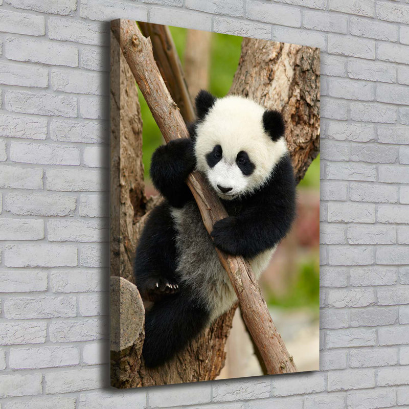 Panda On The Tree - Wrapped Canvas Print