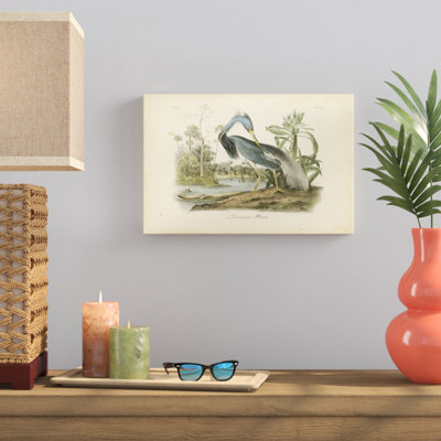 Louisiana Heron, peinture sur toile
