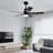 48'' Ceiling Fan with LED Lights