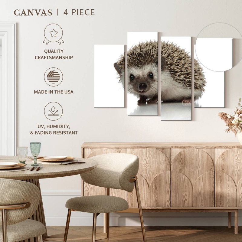 African Hedgehog