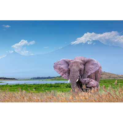 Elephant And Calf - Wrapped Canvas Print