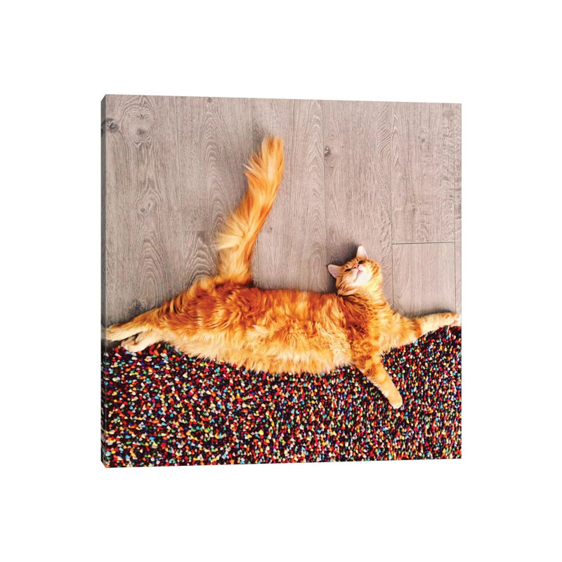 «The Cat Sprinkling the World with Sweets» par Hobopeeba - reproduction de photo, H 12 po x l 12 po x P 0,75 po, Toile tendue