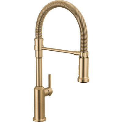 Single Handle Pull-Down Kitchen Faucet With Spring Spout
