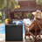 YITA 31.2 Gallon Water Resistant Deck Box-73330284